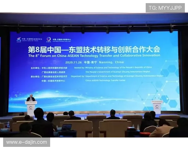 国际邀请赛分析：WE战队实力展现与未来发展潜力探讨